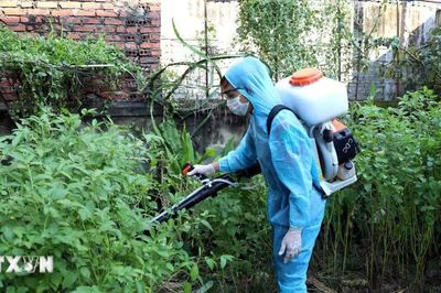 TP Hồ Chí Minh mở chiến dịch cao điểm phòng, chống bệnh sốt xuất huyết và tay chân miệng