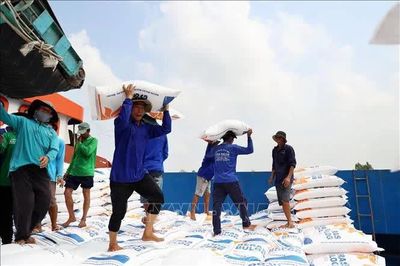 Giá gạo Việt Nam chạm đỉnh 22 tháng trước nỗi lo nguồn cung