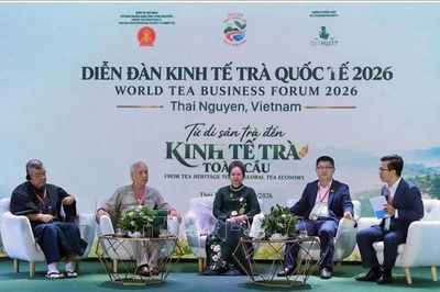 Thái Nguyên thúc đẩy kết nối, phát triển kinh tế trà toàn cầu