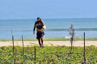 Xót xa hàng ngàn cây phi lao chết khô dọc bờ biển Quảng Ngãi