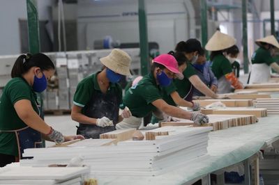 Gỗ Trường Thành: Lỗ chồng lỗ, vốn chủ sở hữu chỉ còn 20 tỷ đồng