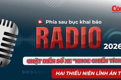 Radio Phía sau bục khai báo: Chặt biển số xe 'khoe chiến tích', hai thiếu niên lĩnh án tù