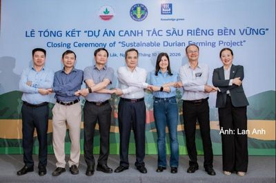 Canh tác sầu riêng bền vững, đáp ứng nhu cầu thị trường xuất khẩu