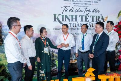 Diễn đàn Kinh tế Trà Quốc tế 2026: Kết nối nguồn lực, nâng sức cạnh tranh cho trà Việt