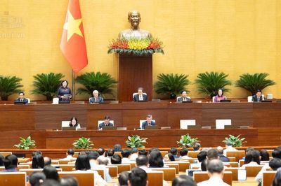 Đại biểu Quốc hội đề xuất ba giải pháp giảm sức ép tín dụng ngân hàng