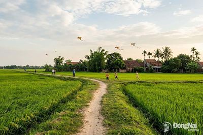 Thênh thang gió đồng