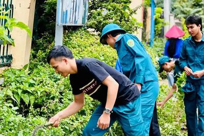 Gia Lai tăng cường công tác phòng, chống sốt xuất huyết