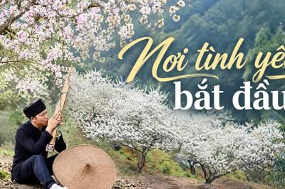 Nơi tình yêu bắt đầu