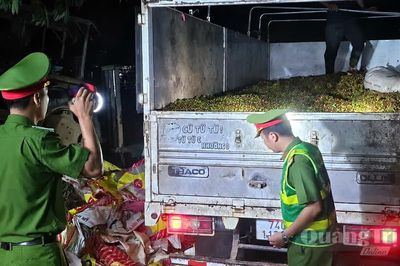 Giữ gìn bình yên mùa thu hoạch cà phê
