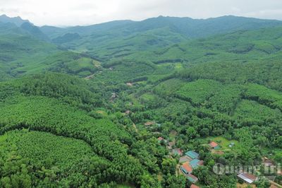 Minh Hóa: Tập trung xử lý vi phạm về rừng, đất lâm nghiệp