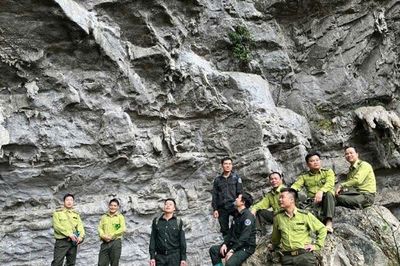 Tuyên Quang: Tổ bảo vệ rừng thôn Bản Biến (xã Minh Quang) hoạt động hiệu quả