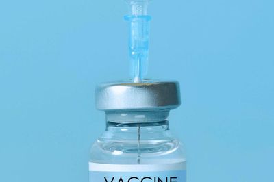 Vaccine mới kích hoạt miễn dịch ở 99% bệnh nhân ung thư tuyến tụy
