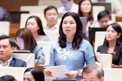 Đại biểu Quốc hội nêu lãng phí nguồn lực vì có độ trễ trong thực thi chính sách