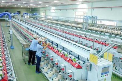 Tập đoàn Dệt May Việt Nam (VGT): Lãi ròng 9 tháng bứt phá 53%, ngành sợi và may đồng loạt khởi sắc