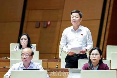 Đại biểu Nguyễn Bình Tân: Đẩy nhanh đầu tư công trình kiểm soát triều cường, xâm nhập mặn ở ĐBSCL