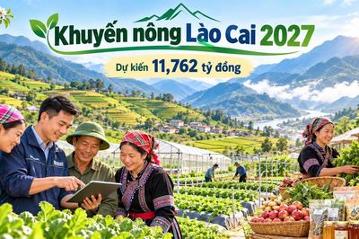 Lào Cai dự kiến hơn 11,7 tỷ đồng cho khuyến nông năm 2027