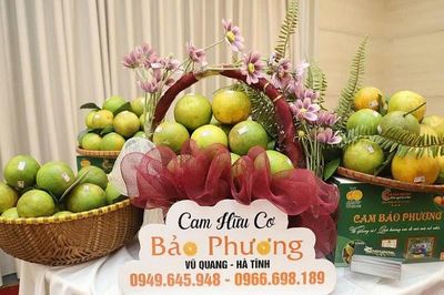 Hà Tĩnh: Đẩy mạnh đưa đặc sản địa phương lên sàn số