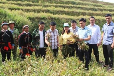 Tuyên Quang: Xã Đường Hồng đánh giá kết quả sản xuất nông, lâm nghiệp năm 2026