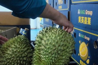 Hoàng Anh Gia Lai báo lãi tăng gấp đôi, doanh thu trái cây vượt 4.150 tỷ đồng sau 9 tháng
