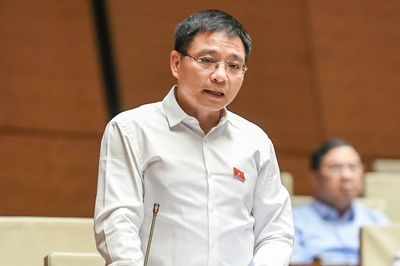 Phó Thủ tướng: Dự kiến giảm giá điện 2%, đưa thuế tiêu thụ đặc biệt xăng về 0%