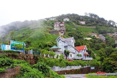 Tam Đảo được công nhận là Khu du lịch quốc gia