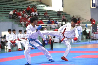 Giải Karate khu vực miền Trung-Tây Nguyên: Gia Lai tạo dấu ấn