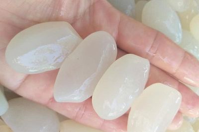 Loại hạt mọc dại trong rừng thành đặc sản, chị em lùng mua