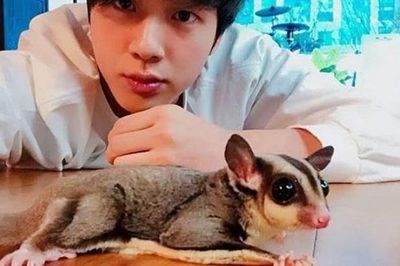 Sao Kpop có thú cưng siêu độc lạ: Jin BTS, Soobin TXT, Bambam GOT7