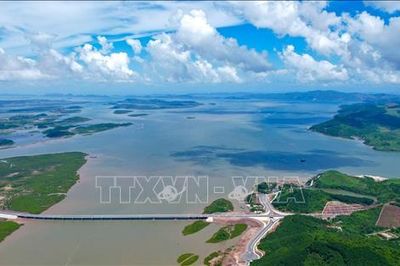 Cao tốc Vân Đồn - Móng Cái tăng tốc về đích