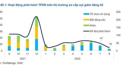 Hậu vụ Tân Hoàng Minh, đại gia nhanh tay mua trái phiếu trước 'lệnh' của Bộ Tài chính