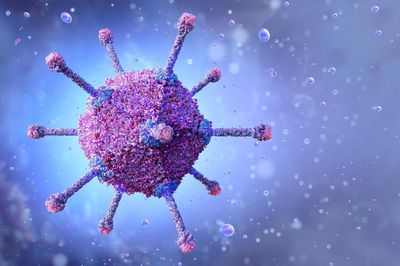 Virus Adeno nguy hiểm thế nào?