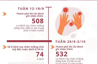 Diễn biến số ca bệnh tay chân miệng tại Thành phố Hồ Chí Minh