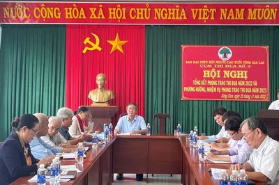Cụm thi đua số 3 Hội Người cao tuổi Gia Lai tổng kết hoạt động năm 2022