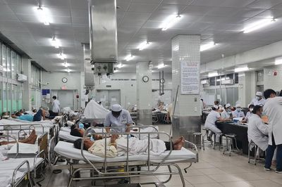 Để ngày xuân an toàn, vui khỏe