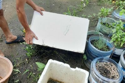 Thành phố Hồ Chí Minh: Dịch sốt xuất huyết giảm nhưng vẫn ghi nhận những ca nặng