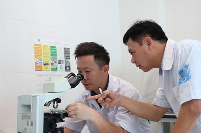 Xác định loại côn trùng lạ 'tấn công' hàng loạt người dân ở Hà Tĩnh