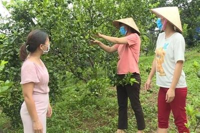 Quảng Ninh áp dụng chuẩn nghèo đa chiều mới trong giai đoạn 2023 - 2025