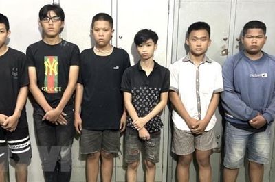 Đồng Nai: Bắt các đối tượng trong 2 vụ cố ý làm hư hỏng tài sản