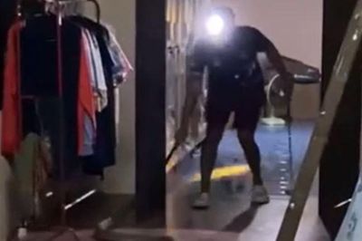 CLIP: Chủ nhà hoảng loạn và phải làm ngay điều này khi phát hiện rắn hổ chúa dài hơn 3,5m ẩn nấp trên trần nhà