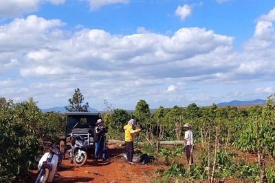 Gia Lai: Khẩn trương chi trả bồi thường, giải phóng mặt bằng Dự án cao tốc Quy Nhơn - Pleiku