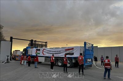 Israel bắt đầu trục xuất các nhà hoạt động trong đoàn tàu tới Gaza