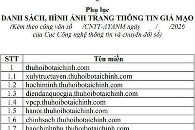 Nhan nhản website mạo danh, Bộ Tài chính đề nghị Bộ Công an vào cuộc xử lý