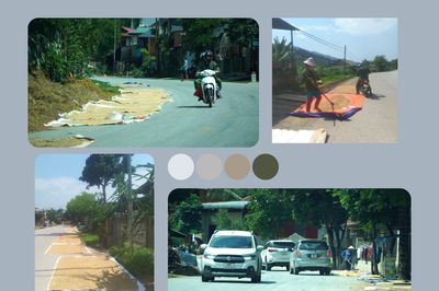Nguy cơ mất an toàn giao thông từ phơi nông sản ven đường