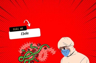 Ebola nguy hiểm thế nào mà khiến thế giới phải báo động?