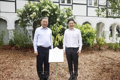 Tổng Bí thư, Chủ tịch nước Tô Lâm và Thủ tướng Lawrence Wong trồng cây tại Vườn Bách thảo Singapore