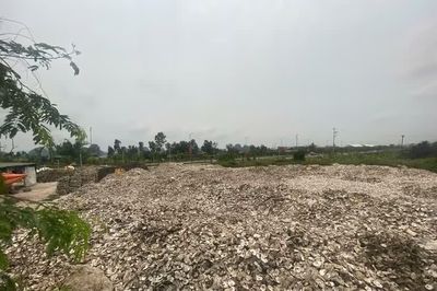 Khởi tố người phụ nữ đổ 324.500 kg vỏ hàu ra môi trường