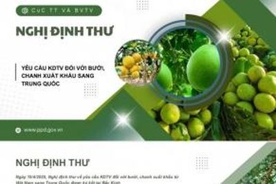 Trung Quốc cập nhật quy định đăng ký doanh nghiệp thực phẩm nhập khẩu