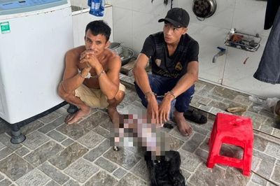 Săn 9 cá thể voọc bạc Đông Dương quý hiếm, 5 đối tượng bị tạm giữ hình sự