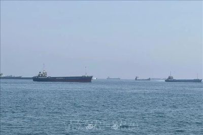 Mỹ âm thầm dẫn tàu thương mại qua Hormuz
