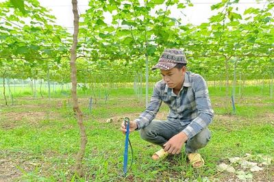 Bảo vệ cây trồng trước thời tiết cực đoan
